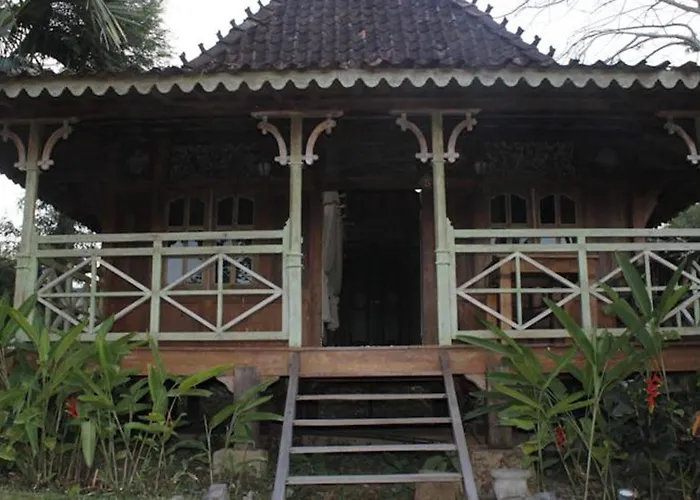 Umalas 4*